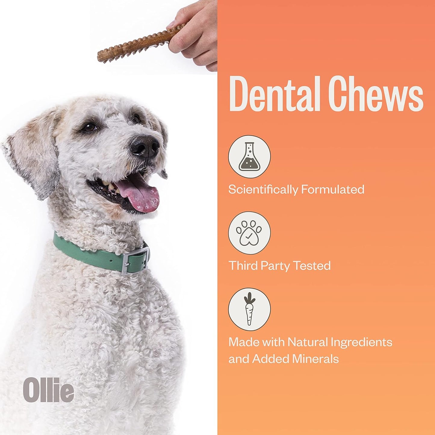 Ollie Dental Chews for Large Dogs, 12 Oz, Fresh Breath, Teeth Cleaning Treats, Sticks for Dog Oral Care, with Parsley and Cinnimon, for Pups 51 lbs and Above