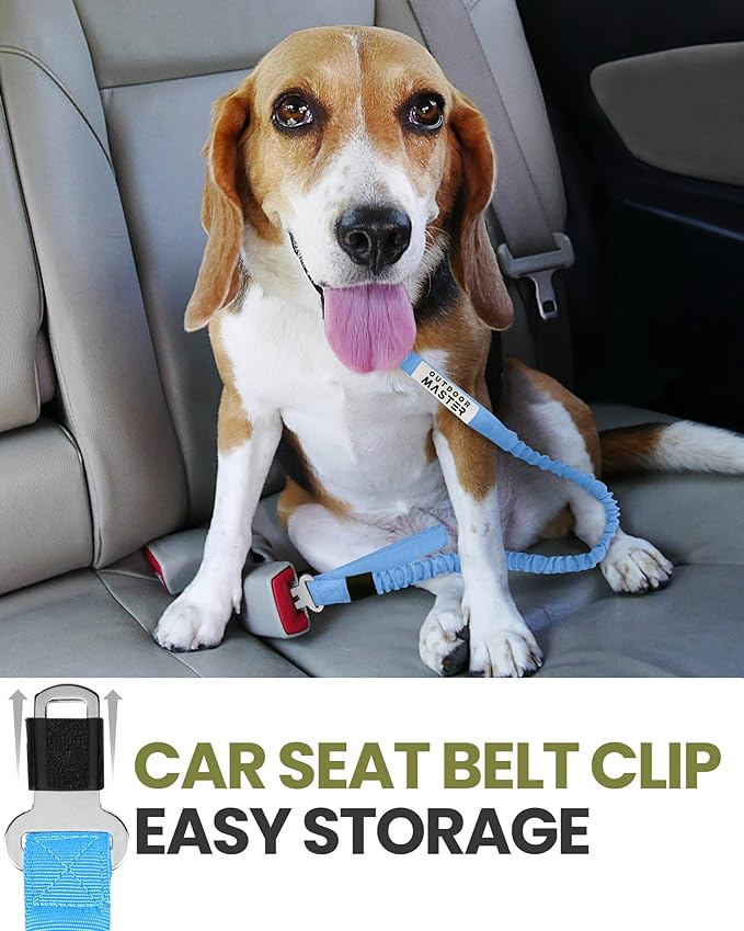 OutdoorMaster Bungee Dog Leash, Heavy Duty Dog Leash with Shock Absorption, 2 Padded Handles Training Leash, Improved Dog Safety and Comfort - Blue Upgraded, 4FT