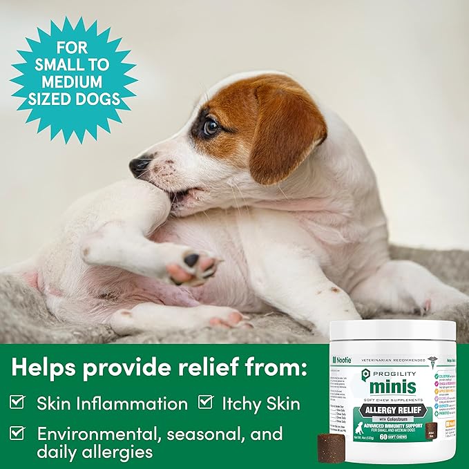 Nootie Progility Mini Allergy & Immune Supplement, Seasonal Allergies Advanced Immune Support Supplement for Small Dogs, 60 Soft Chews per Container