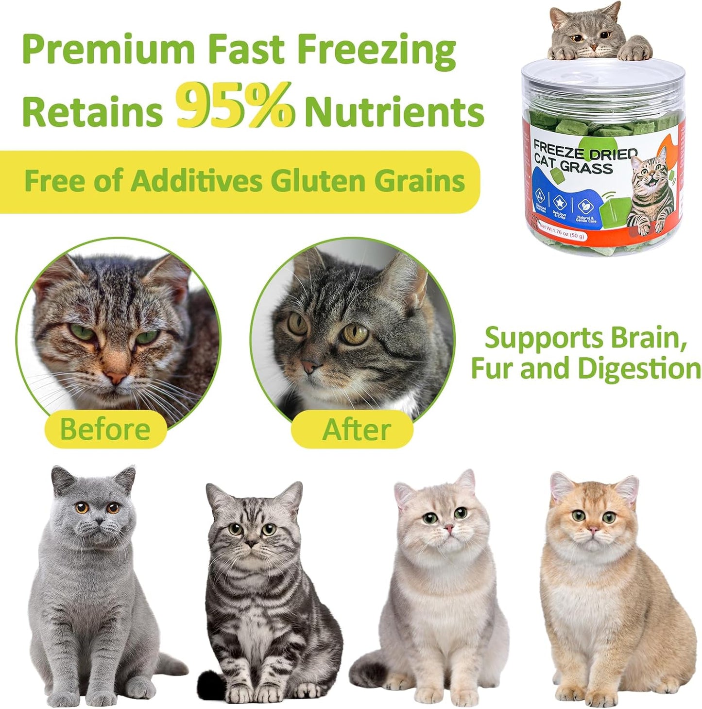 Freeze-Dried Cat Grass Treats with Premium Gourmet Blend - Natural Hairball Control & Gut Health Support for Cats (Chicken Breast Formula, 1.76 oz)
