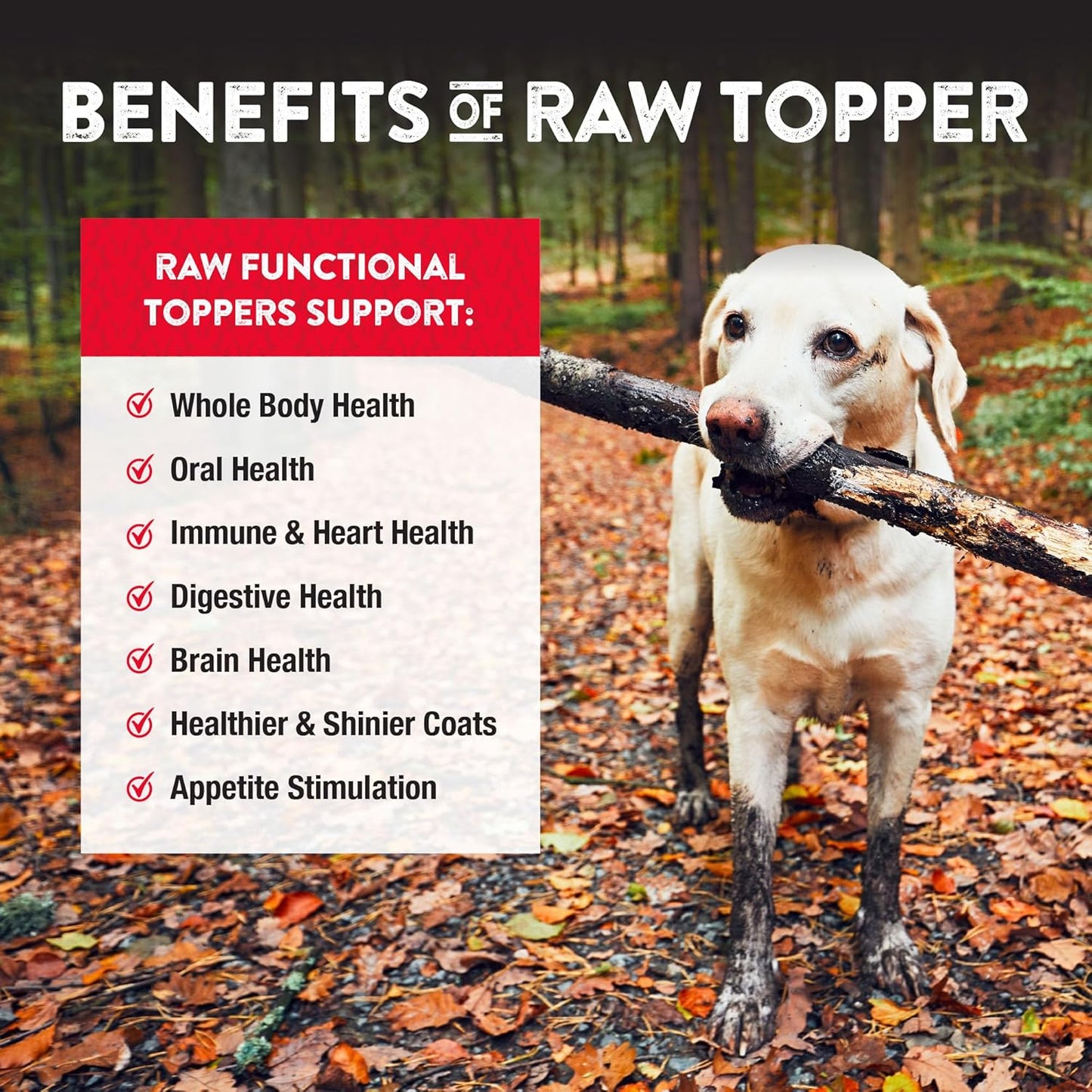 Northwest Naturals Freeze-Dried Beef Blood Functional Topper - for Dogs & Cats - Healthy, 1 Ingredient, Human Grade Ingredients, All Natural, Proudly Made in USA, 3.5 Oz (Pack of 1)