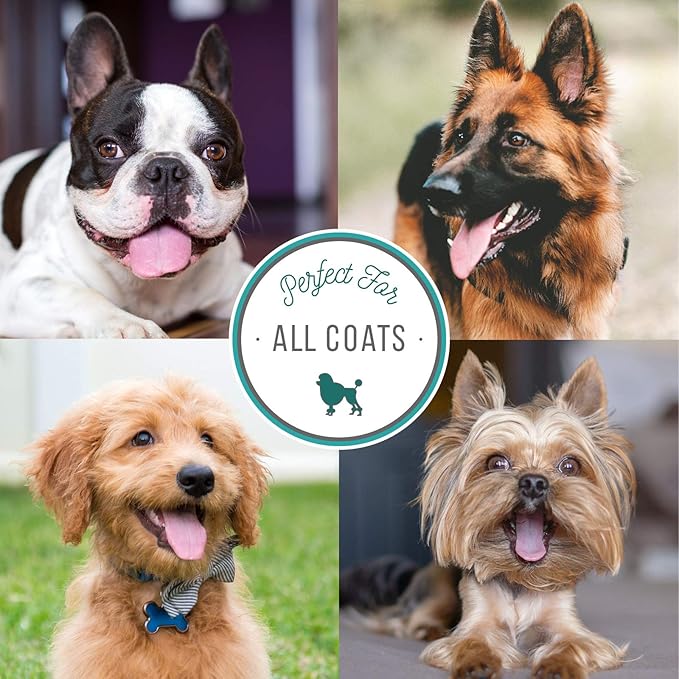 Nature's Specialties Plum Silky Dog Cologne for Pets, Natural Choice for Professional Groomers, Ready to Use Perfume, Finishing Spray, Made in USA, 8 oz