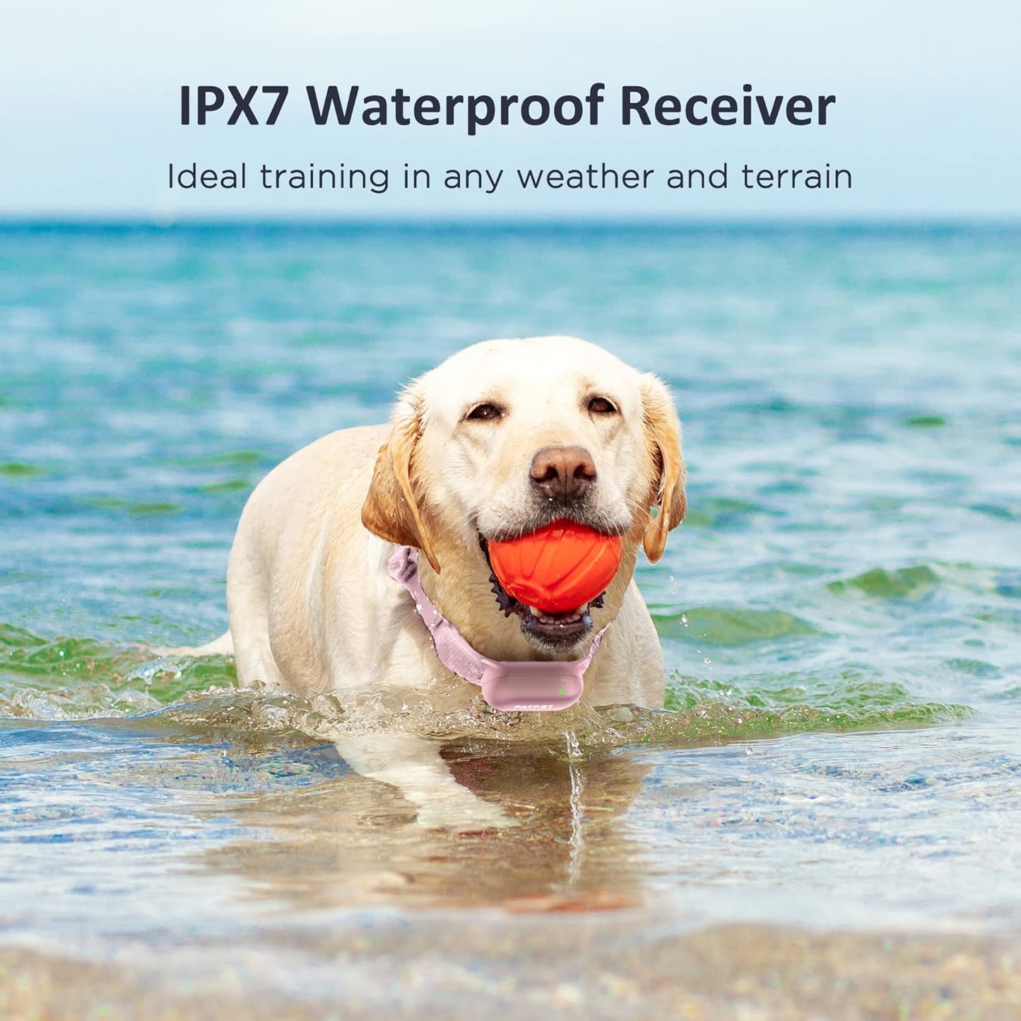 PATPET Dog Training Collar with Remote - Electric Dog Shock Collars for Small Medium Large Dogs, 3 Adjustable Safe Modes Rechargeable Waterproof E Collar for Dogs (8-120 lbs)