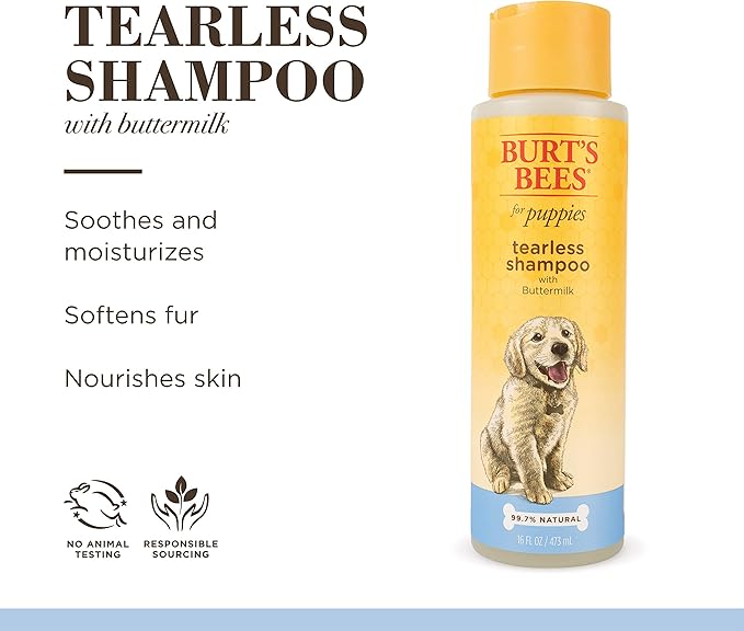 Burt's Bees for Pets Tearless Puppy Shampoo with Buttermilk, 6pk, 95% Natural Origin Formulas, Best Tearless Shampoo for Puppies - Gentle Dog and Puppy Shampoo Tear Free, 16 oz - 6 Pack