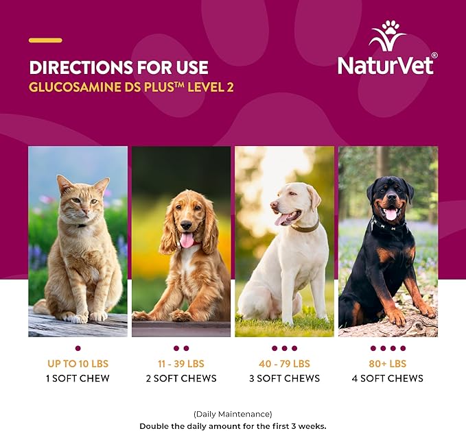 NaturVet – Glucosamine DS Plus - Level 2 Moderate Care – Supports Healthy Hip & Joint Function – Enhanced with Glucosamine, MSM & Chondroitin – for Dogs & Cats–70 Soft Chews