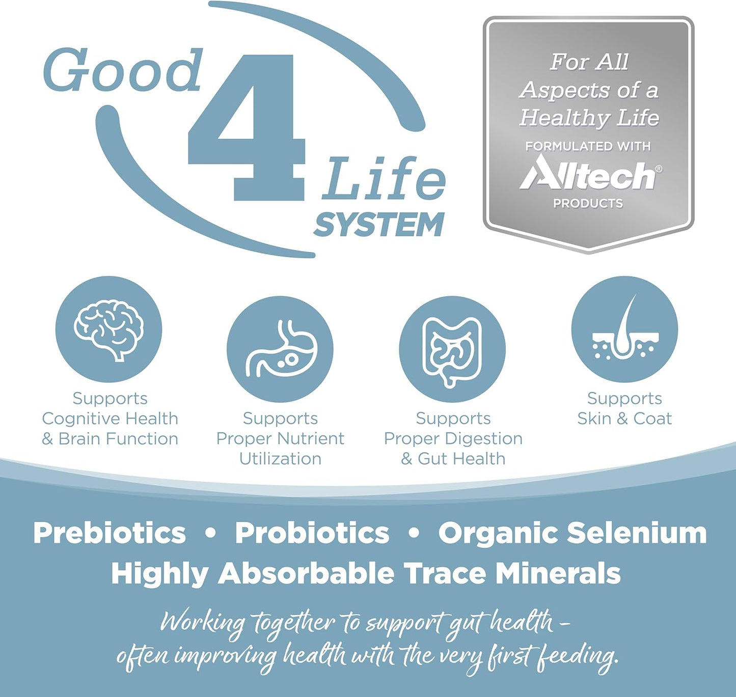 NutriSource Element Series Open Waters Dry Dog Food, Haddock, Trout and Duck, 12LB