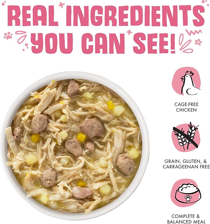 Weruva Classic Dog Food, Amazon Livin' with Chicken Breast & Chicken Liver in Pumpkin Soup, 5.5oz Can (Pack of 24)