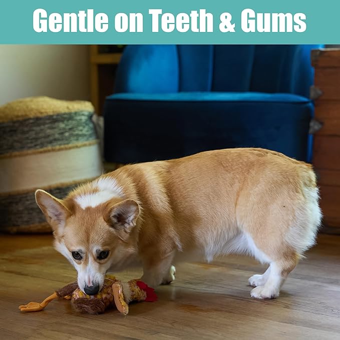 SPOT Skinneeez Chicken 13 Inch Stuffing-Free Plush Squeaky Dog Toy – Soft Interactive Chew Toy for Small and Medium Dogs – Mess-Free Play for Light & Moderate Chewers