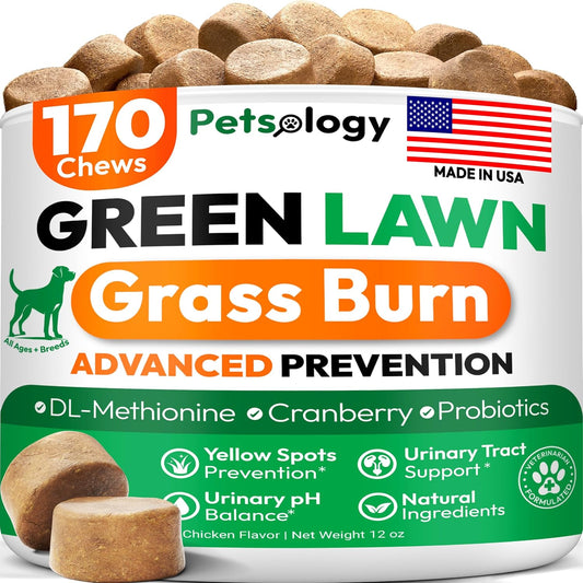 Dog Urine Neutralizer for Lawn - 170 Green Lawn Chews for Dogs - Pee Grass Burn Spot Saver Caused by Dog Urine with Probiotics & Digestive Enzymes - Advanced Gut Health Supplement, Rocks