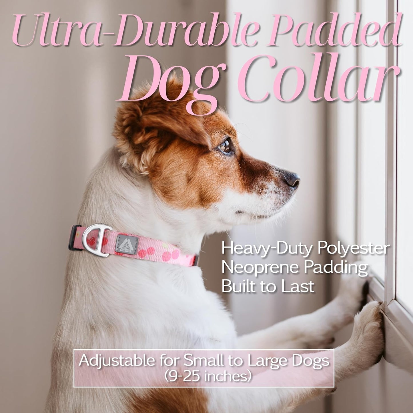 Girl Dog Collar, Durable Pink Cute Cherry Print Adjustable Collar with Aluminum D-Ring, Reflective Logo & Soft Padding Fits for Large Breed Dogs, Neck Size 16’’-25’’ (Cherry, L)