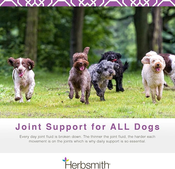 Herbsmith Sound Dog Viscosity – Advanced Joint Support for Dogs – Veterinarian Recommended Glucosamine for Dogs, Hyaluronic Acid, Chondroitin, MSM – Natural Arthritis Pain Relief – 120ct Large Chews