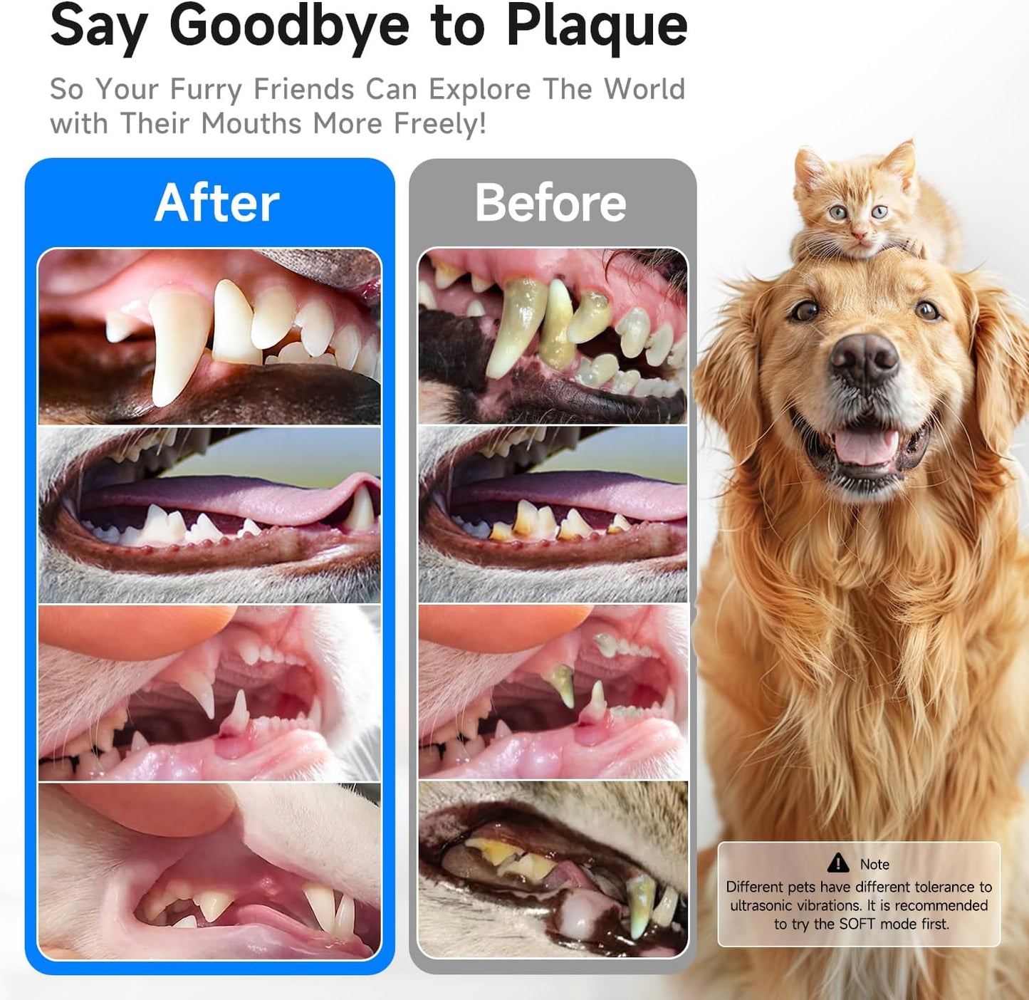 Electric Dog Plaque & Tartar Remover - Pet Teeth Cleaning Kit with 5 Adjustable Modes, LED Light, Safe and Low Noise – Easy at Home Dental Care for Dogs and Cats