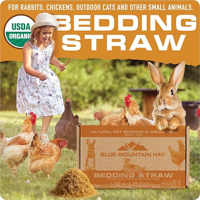 Blue Mountain Hay | Organic Bedding Straw (3 lb) | Natural Pet Bedding & Insulation for Rabbits, Guinea Pigs, Goats, Chickens, Stray & Feral Cats, and Small Animal Shelters
