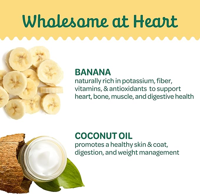 Wholesome Pride Banana Bites Dog Treats, 2 Ingredients – Bananas & Coconut Oil, Grain-Free, 8 oz