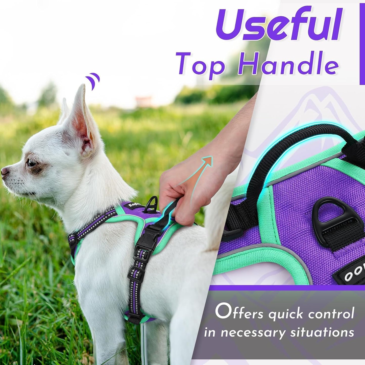 Eagloo Small Dog Harness No Pull, Service Vest with Reflective Strips and Control Handle, Adjustable and Comfortable for Walking, No Choke Pet Harness with 2 Metal Rings, Purple & Green, XS