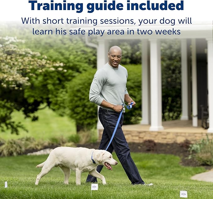 PetSafe Stay & Play Pet Fence Wireless, Dog Fence Collar Rechargeable Receiver Collar, Waterproof Design, Compatible with All PetSafe Wireless Fences, Invisible Wireless System (Black)