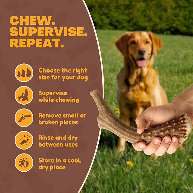 WhiteTail Naturals (3 Pack Deer Antlers for Large Dogs, Antler Dog Chews - Crafted in USA Dog Antler - Long Lasting Bone for Aggressive Chewers