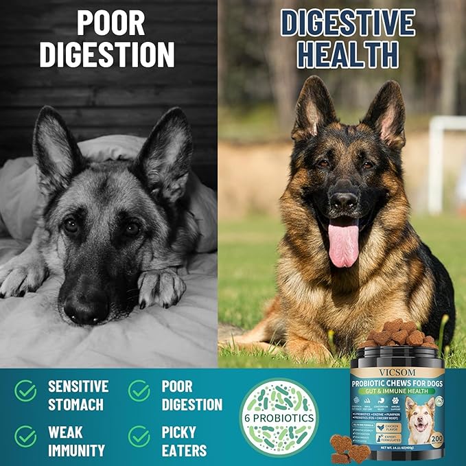 Dog Probiotics for Dogs, 200 Soft Probiotics Chews for Dogs Digestive Health Gut Health & Immune System, with 6 Probiotics & Digestive Enzymes, Support Itchy Skin, Constipation & Diarrhea Relief