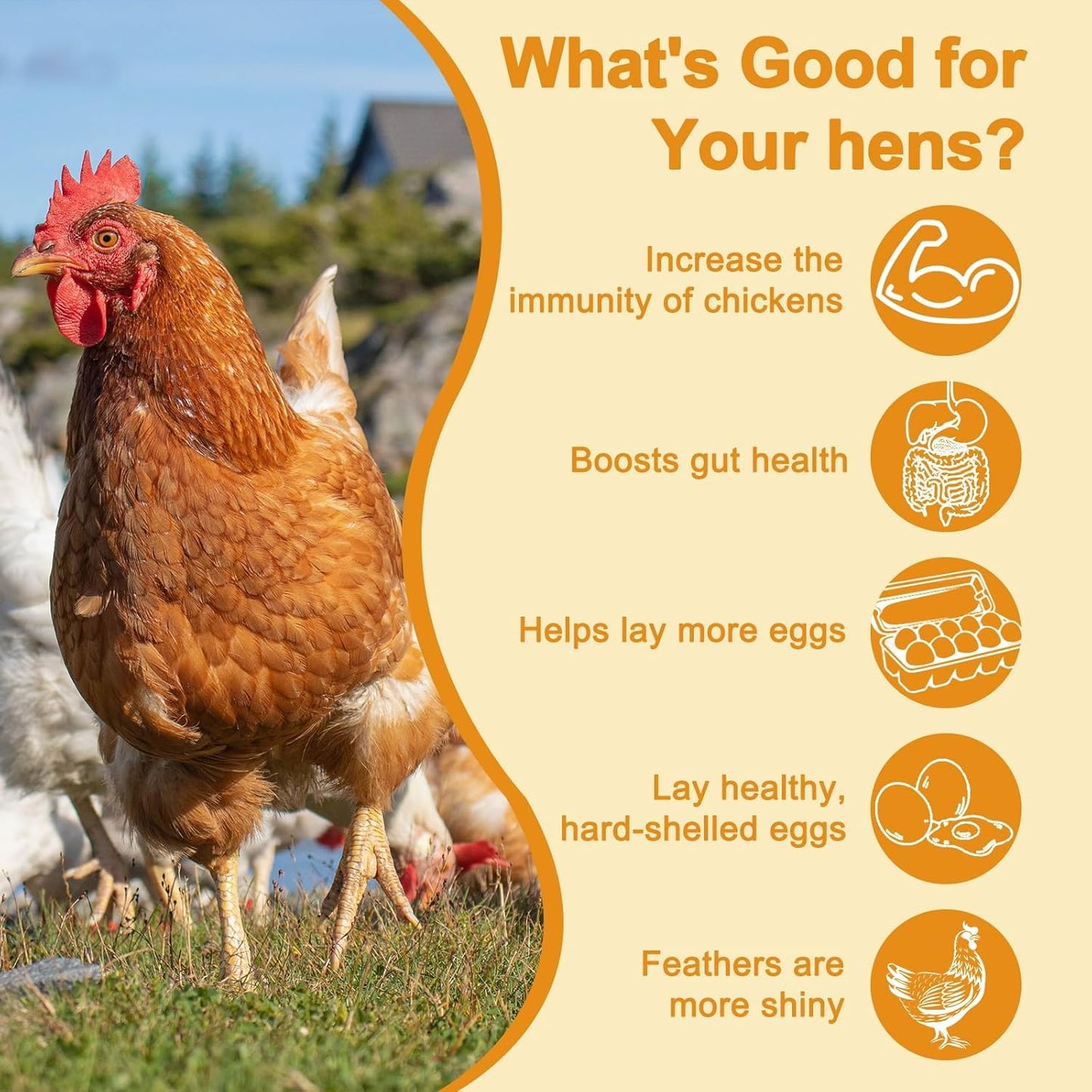 BSF Larvae 85X Calcium Than Dried Meal Worms 20LB(10lbx2) for Chicken Feed - Bulk Black Soldier Fly Larvae Poultry Treats - BSF Grubs Non-GMO Food High Protein Meal Worms for Hens,Wild Bird