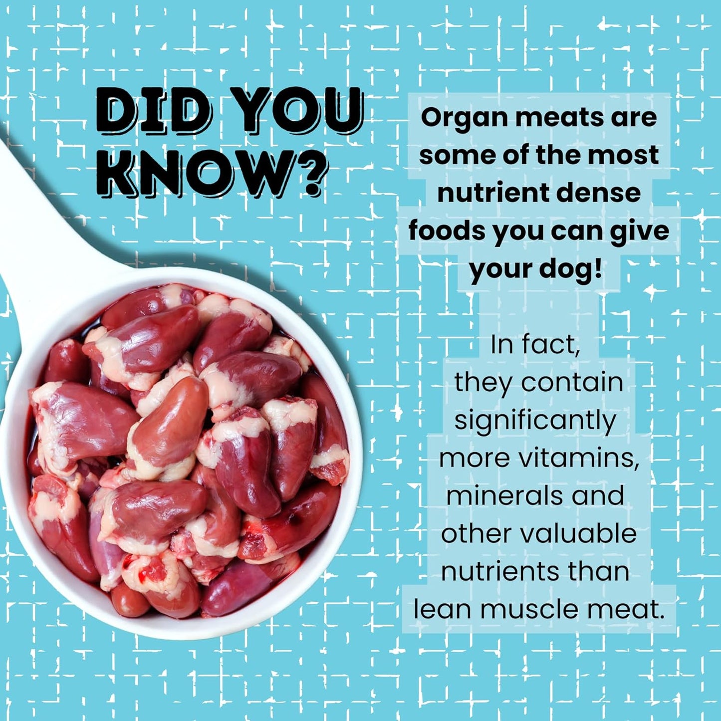hotspot pets Freeze Dried Chicken Hearts for Cats & Dogs - 1LB Big Bag- Made in USA -Single Ingredient All Natural Grain-Free -Resealable Bag- Perfect for Training, Topper or Snack, Allergen-Free