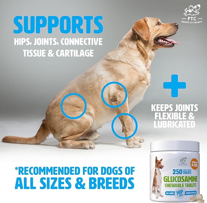Glucosamine for Dogs with Chondroitin and MSM -Hip and Joint Supplement for Dog Mobility Support and Arthritis Pain Relief - 250 Chewable Tablet Treats