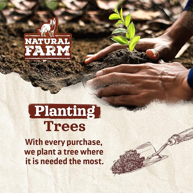 Natural Farm Pig Ears for Dogs (8-Count), One Ingredient: Natural Whole Pigs Ears, Air Dried, Long-Lasting & Highly Digestible Treats, Great for Puppy and Large/Medium Dogs