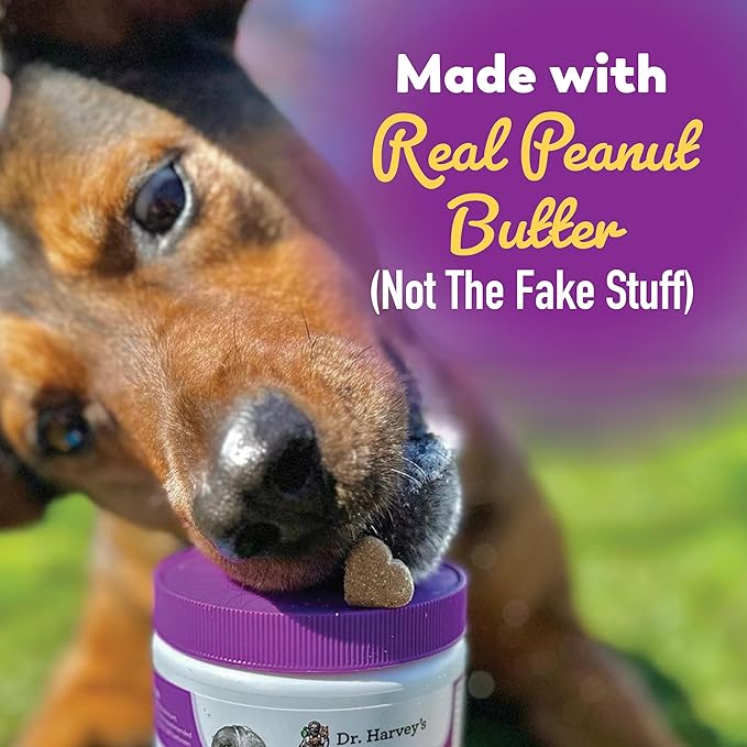 Dr. Harvey's Digestive Probiotic Soft Chews for Dogs, 9 Probiotics for Gut Health, Diarrhea and Bowel Support, Peanut Butter Flavor (90 Chews)