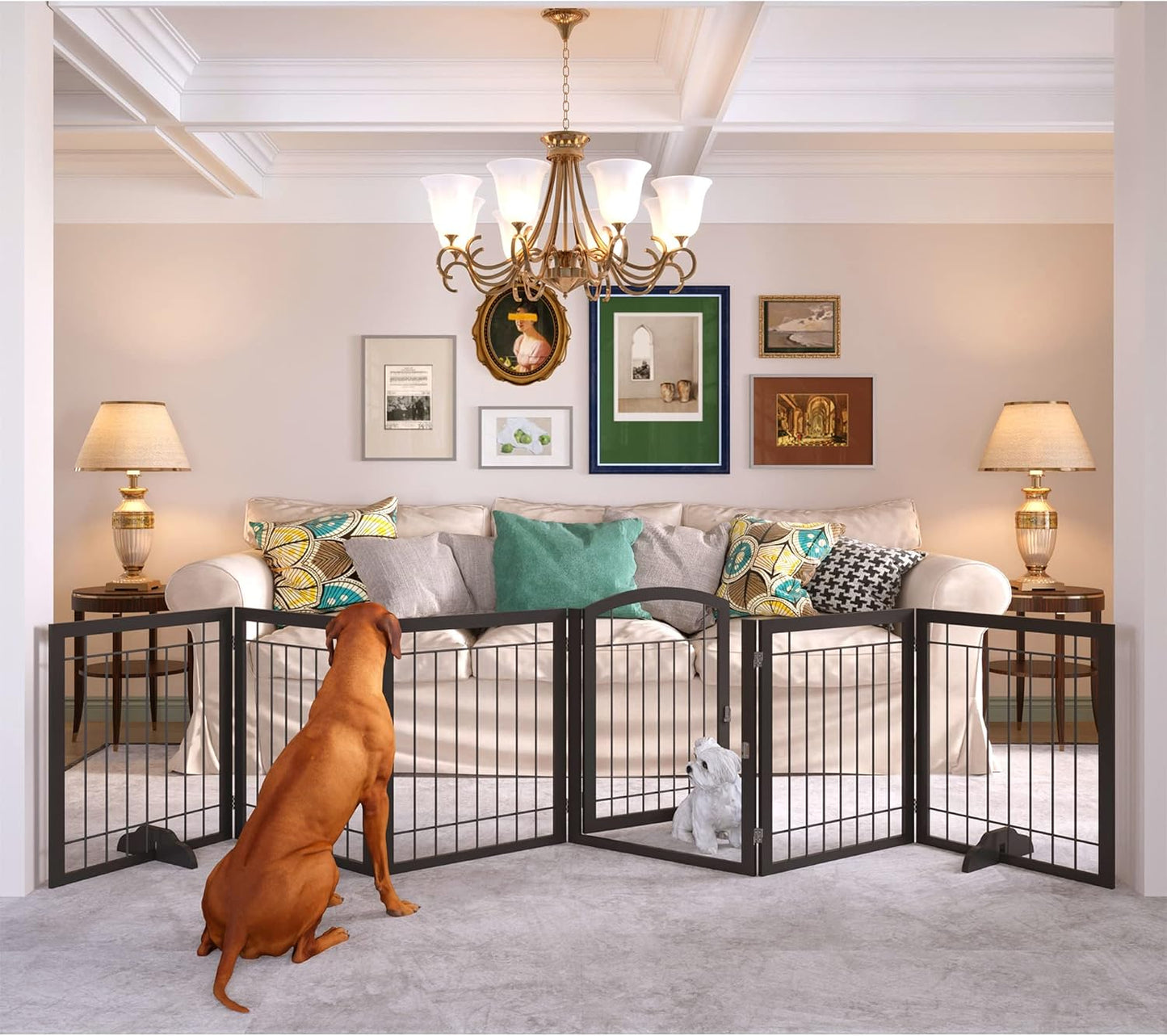 JSB 144-inch Extra Wide 30-inch Tall Dog gate with Door Walk Through, Freestanding Pet Gate for Halls, Stairs & Home, Pet Puppy Safety Dog Fence with 2PCS Support Feet (Black)