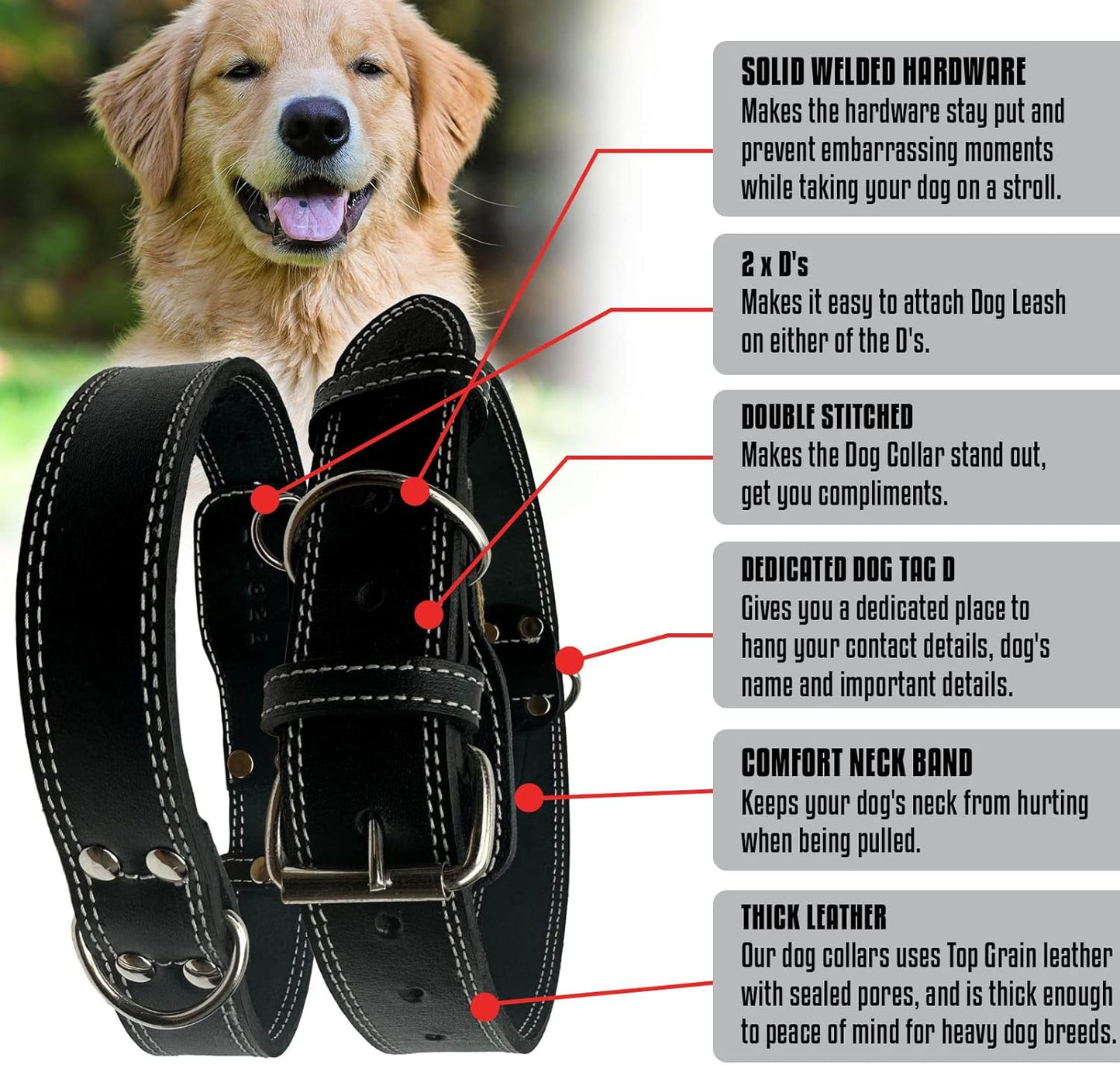 Hides & Knives Leather Dog Collar with Reinforced Hardware, Heavy Duty Dog Collars for All Breeds, Made of Top Grain Genuine Leather That is Soft & Durable (Black, SM)