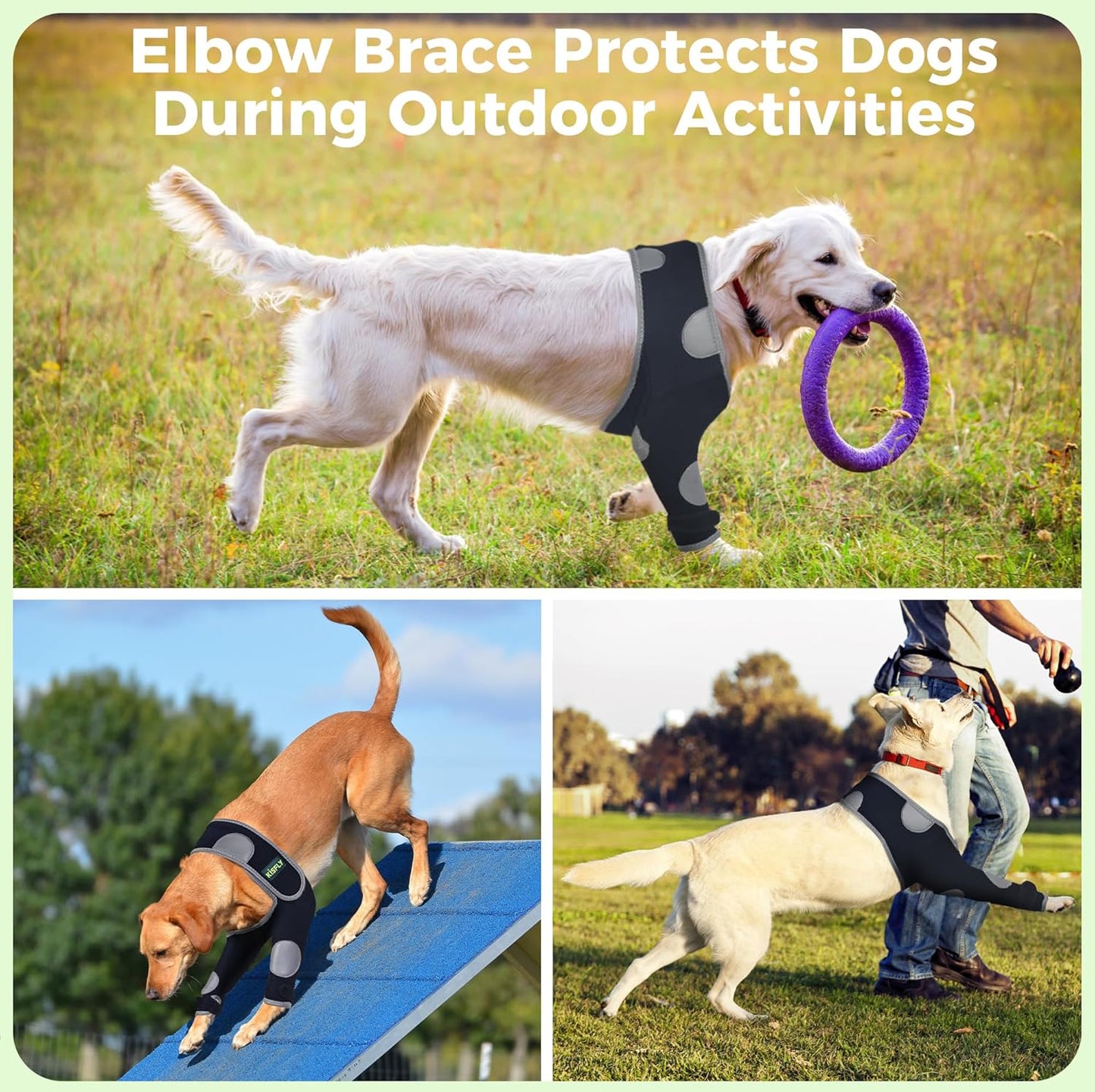 Dog Shoulder Brace Front Leg Prevents Elbow Hygroma, Elbow Calluses, Arthritis, Dysplasia and Pressure Sores, with Reflective Material Makes Night Activities Safer- Right Leg S