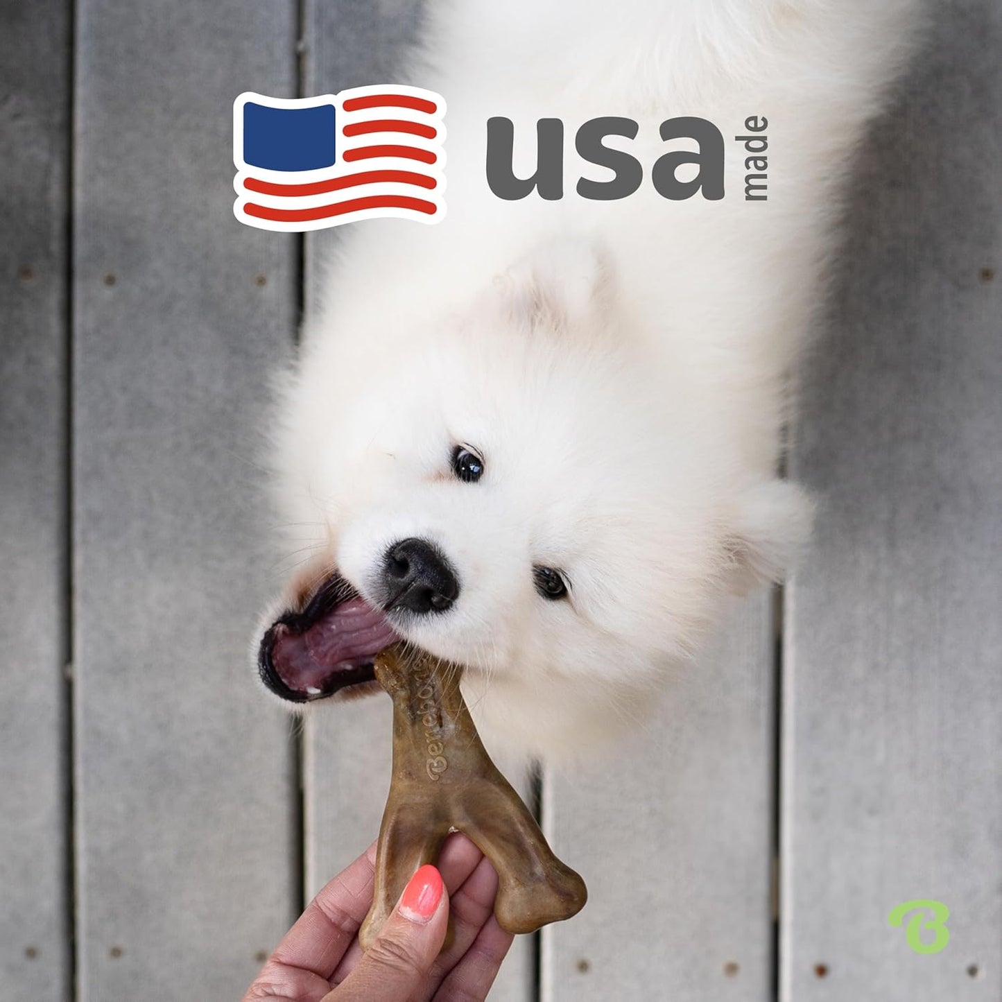 Benebone Wishbone Durable Dog Chew Toy for Aggressive Chewers, Real Bacon, Made in USA, Tiny