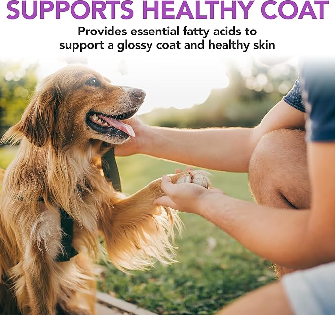 Vet's Best Brewer’s Yeast & Garlic Chews, Omega 3 for Dogs Healthy Skin & Coat Protection for Dogs, Dog Formulated with Veterinary Recommended Dosage, Garlic Supplements, 60 ct