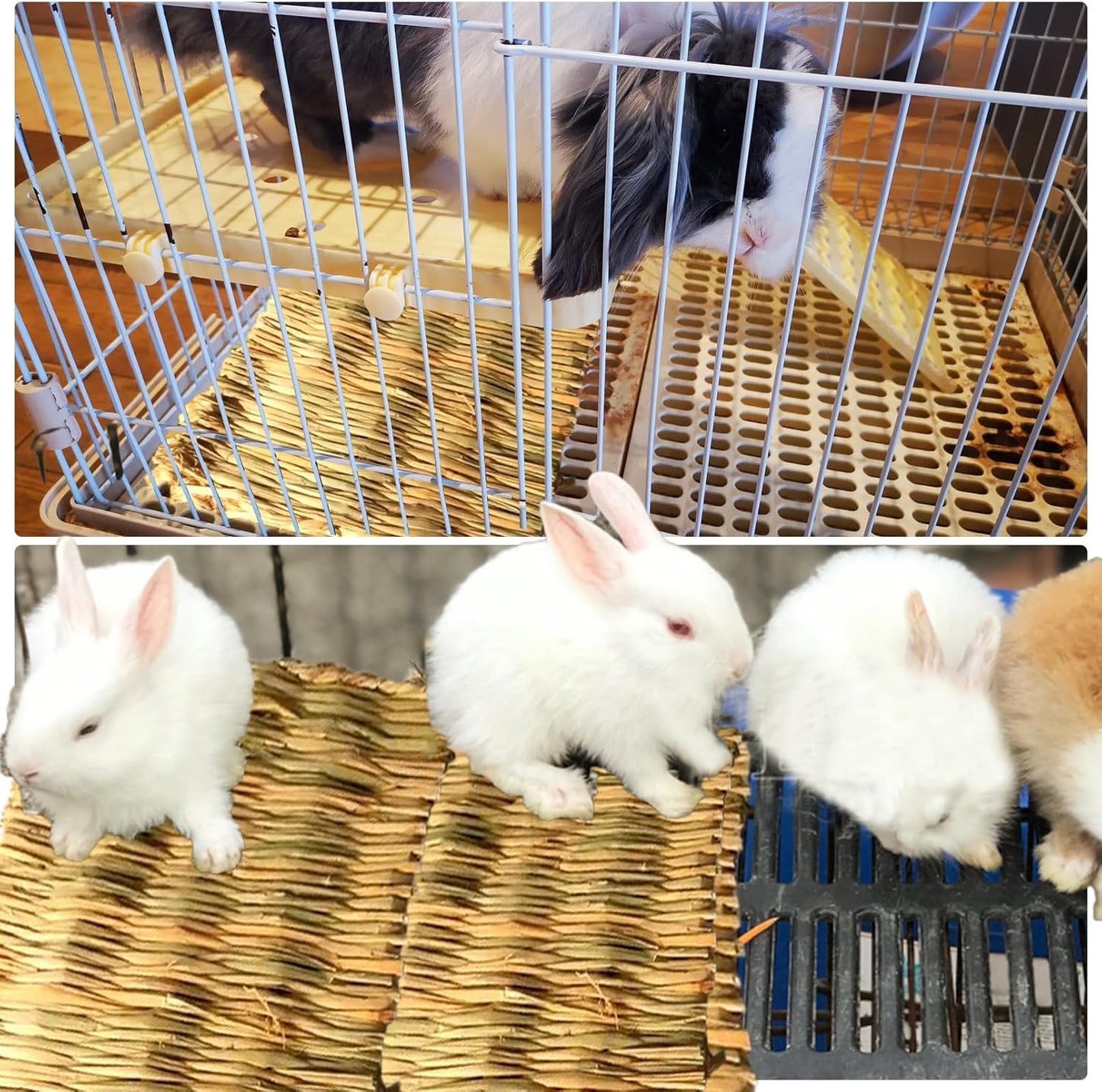 8 PCS Rabbit Grass Mat,Natural Bunny Grass Mat Woven,Pet Bed Nest Mats Rabbits Chew Toys for Hamsters Parrot Rabbits Hedgehog Guinea Pig Chick and Other Small Animals Hay Mat Sleeping(8 PCS)