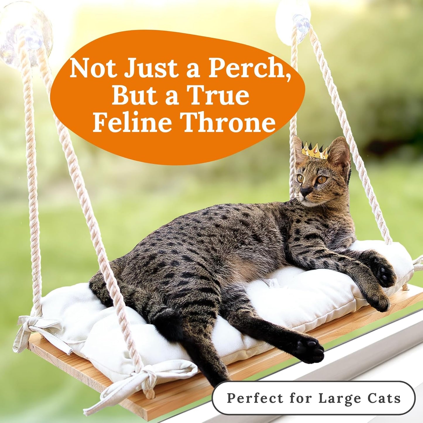 Cat Window Perch for Large Cats - Hammock Bed for Heavy Indoor Cats - Solid Wood Seat, 5 Strong Suction Cups, Soft Cushion - Rustic Shelf for Pets Inside