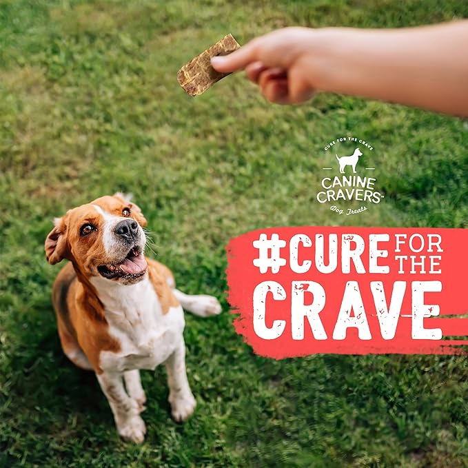 Canine Cravers Single Ingredient Dog Treats – Pure Turkey Jerky - Human Grade Air Dried Hypoallergenic Pet Food – Grain, Gluten, and Soy Free – 100% All Natural – 5.3 oz