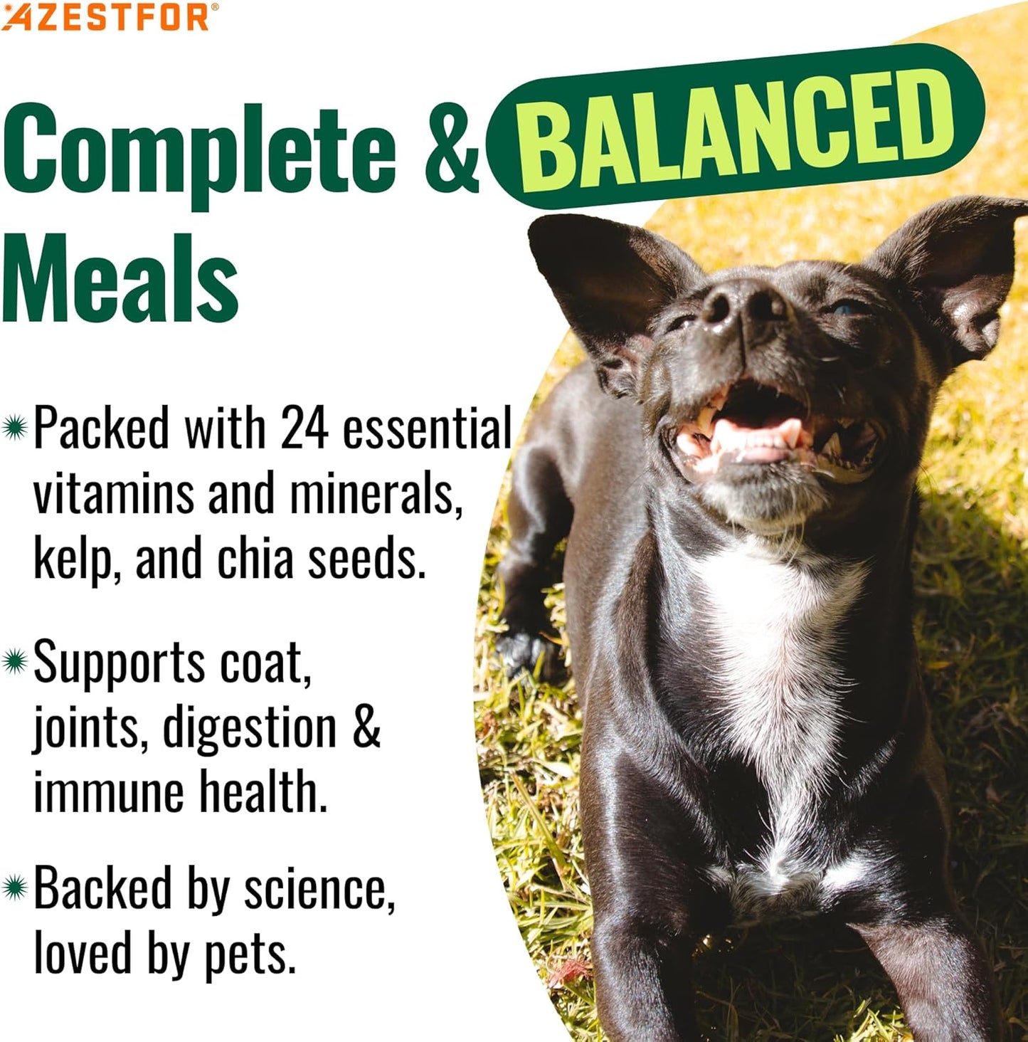 Azestfor Homemade Dog Food Supplement Dog Vitamins Made in USA Add to Holistic Whole Food Diets Raw BARF All Breeds Puppy Adult 16oz Powder