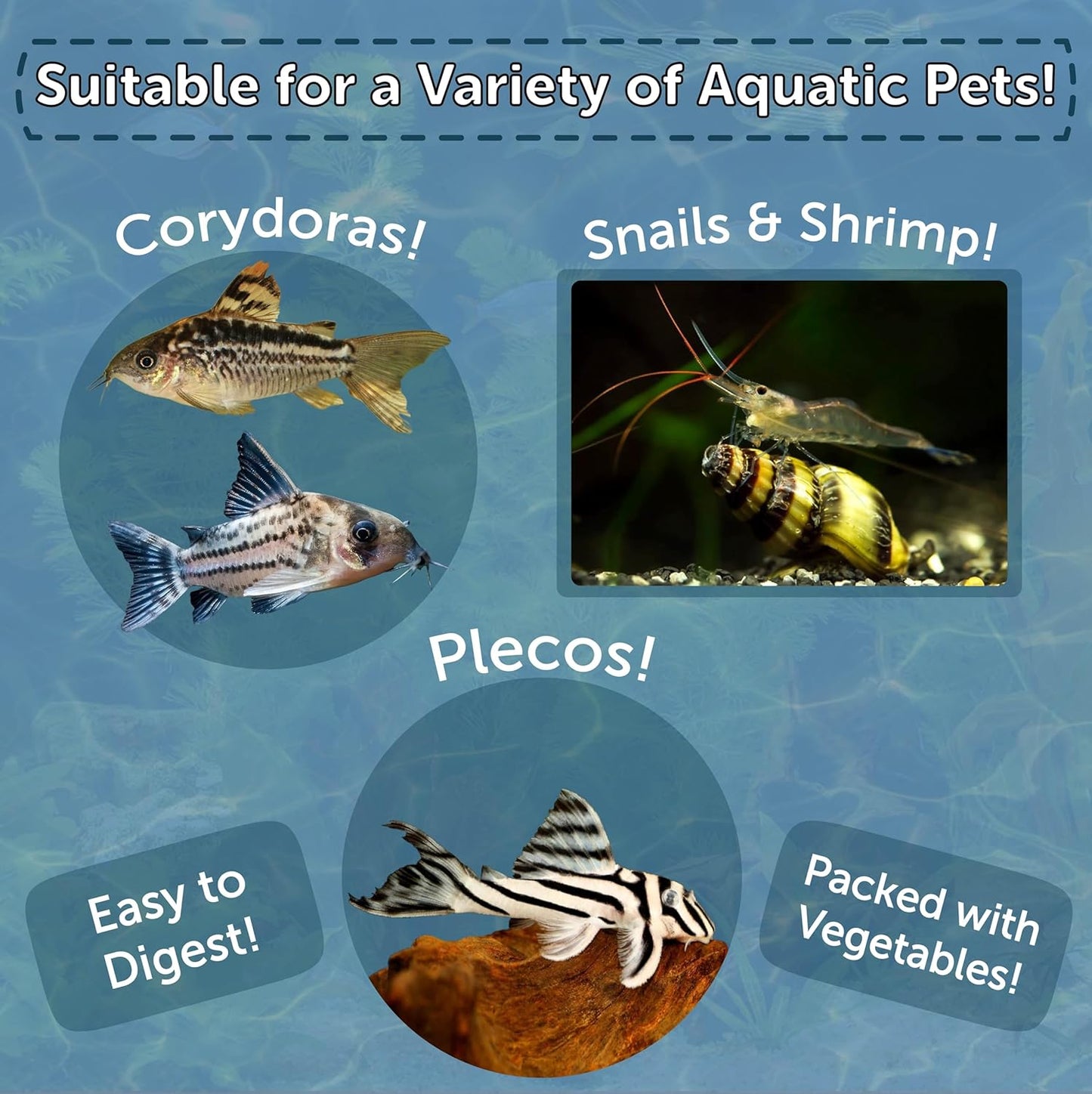 Aquatic Foods Inc. 3.5mm - 1/8" Micro Sinking Wafers of Spirulina, Algae & Veggies for Bottom Fish, Plecos, Shrimp, Snails, All Tropical Fish, 4-Type Wafer & 12-Type Pellet Mix Included 5oz