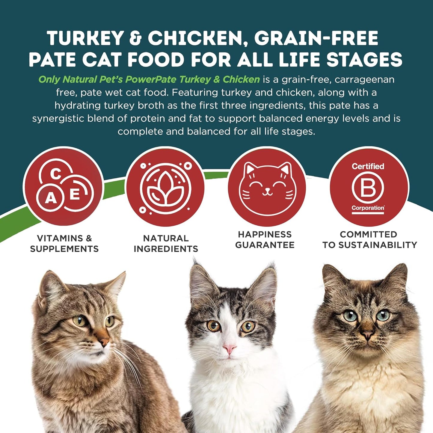 Only Natural Pet PowerPate Grain-Free Turkey & Chicken Dinner Wet Cat Food - High Protein, Healthy Balanced Nutrition for Kittens & Cats of All Life Stages, 2.75 oz Cans, Case of 12 (T)