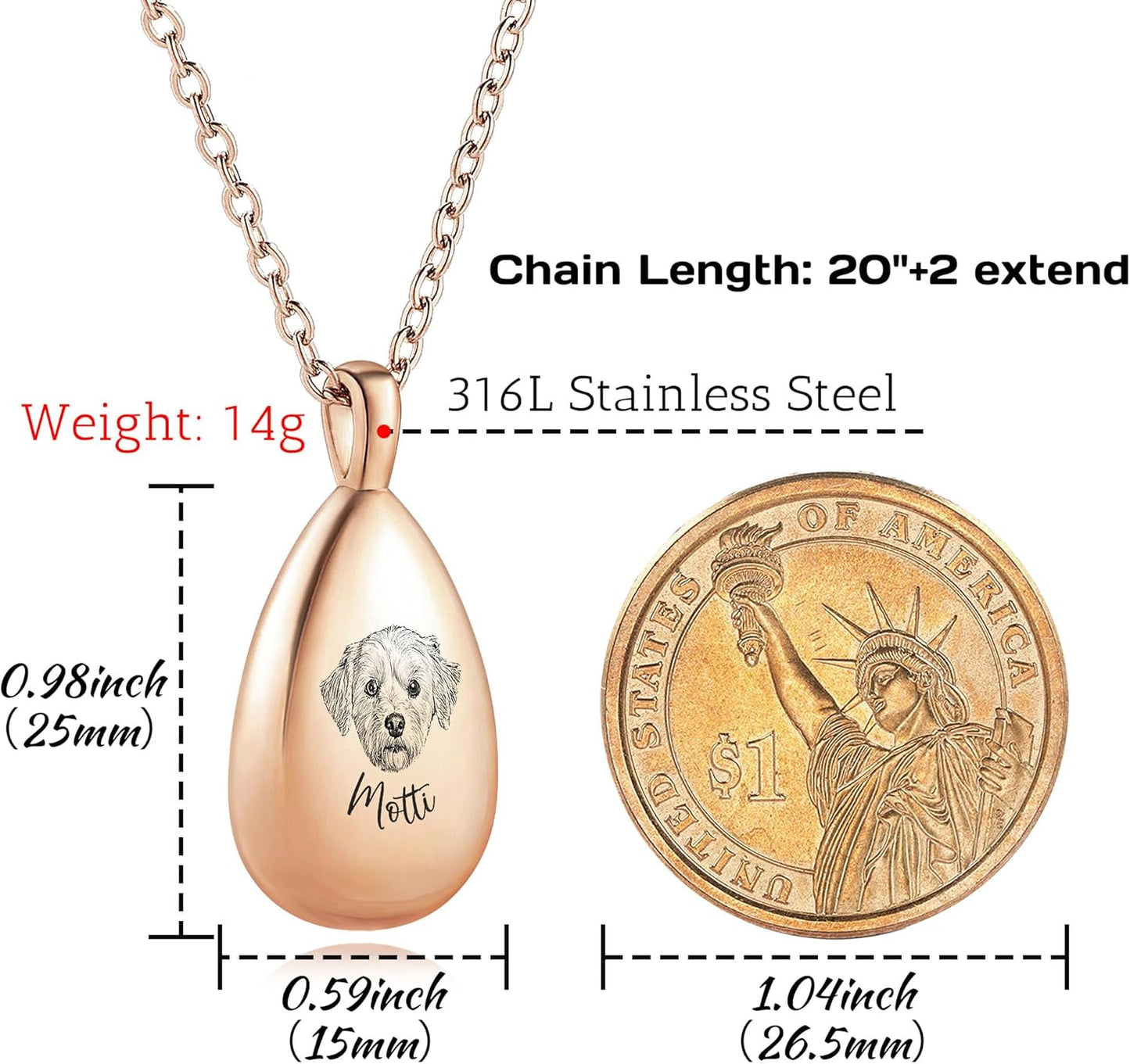 MMXX Personalized Pet Portrait Teardrop Urn Necklace with Name/Photo Stainless Steel Pendant - Cremation Jewelry for Pet Memorial Gifts - Funnel Kit Included