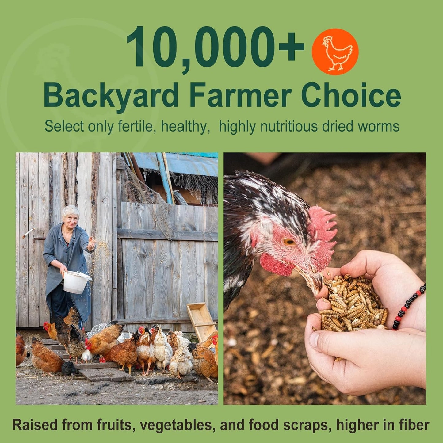 5LB Dried Black Soldier Fly Larvae for Chickens Treats Bulk - Non GMO BSF Larvae 85~180X More Calcium Than Dried Mealworms for Laying Hens, Chicken Worms for Wild Birds Natural Insect Poultr Feed