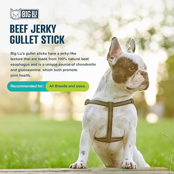Big Lu - 6-Inch Jerky Gullet Sticks, 12 Count, All-Natural Beef Dog Chews, Grass-Fed, Free-Range, Digestible Treats with Glucosamine and Chondroitin for Joint Health, Dogs