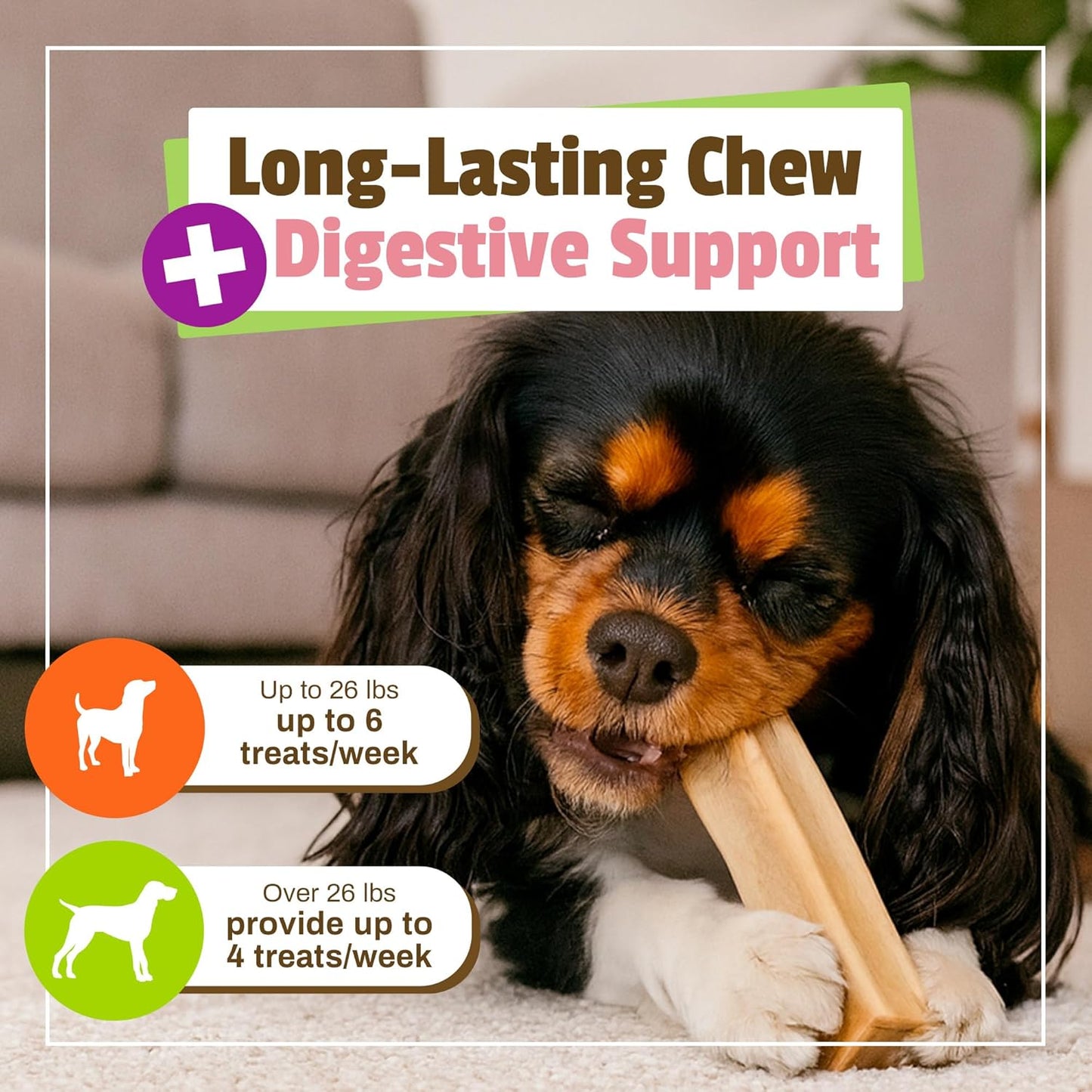 Pet Naturals BusyButter Balanced Belly Peanut Butter Bones, Rawhide-Free Chews for Small Dogs, Long Lasting Chew Bones, Probiotics & Pumpkin for Gut Health, 22 Count