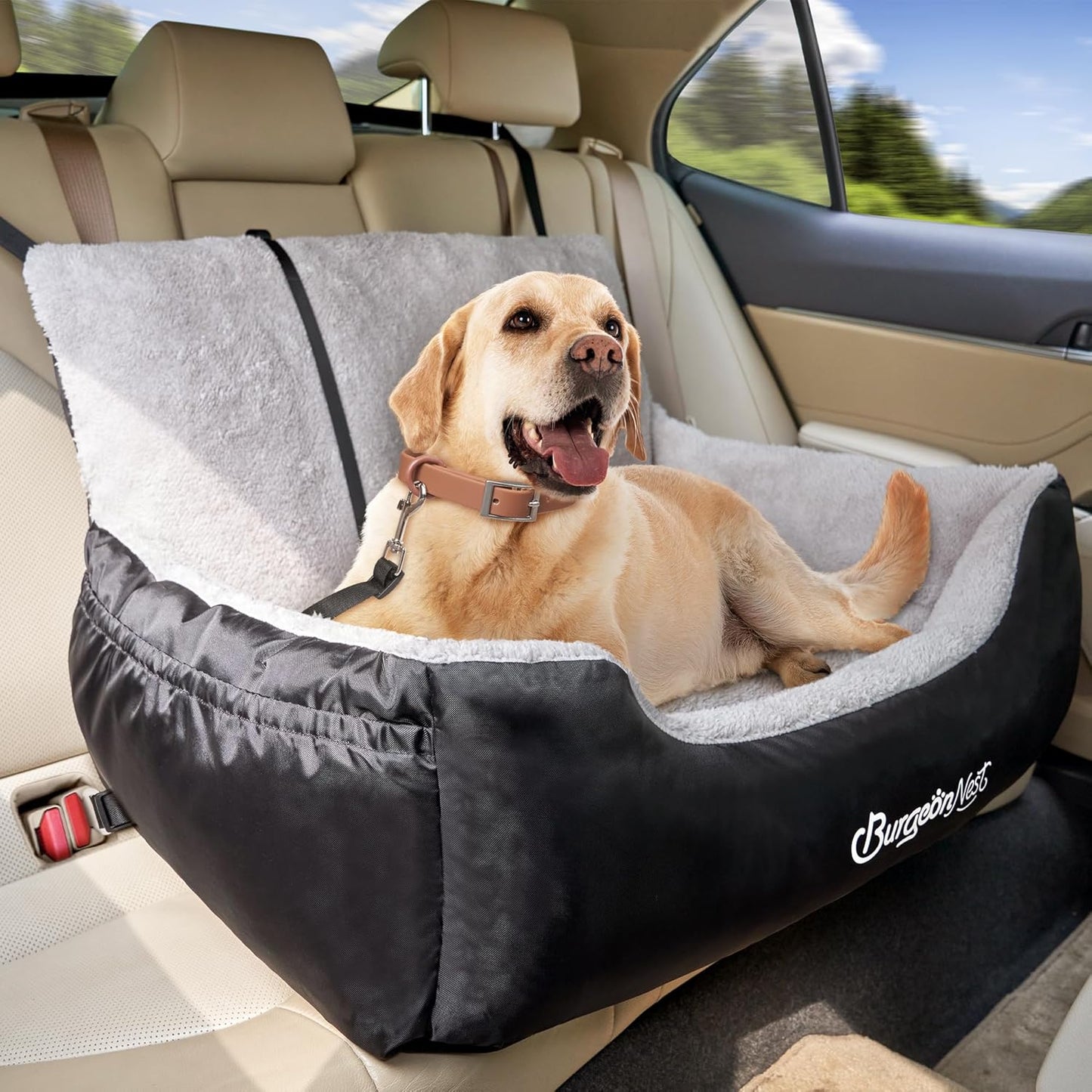 BurgeonNest Dog Car Seat for Medium/Large Dogs Under 55 lbs, Soft Pet Car Travel Home Bed, Fully Detachable and Washable Booster Carseats with Storage Pockets and Clip-On Leash Portable Carrier,Black
