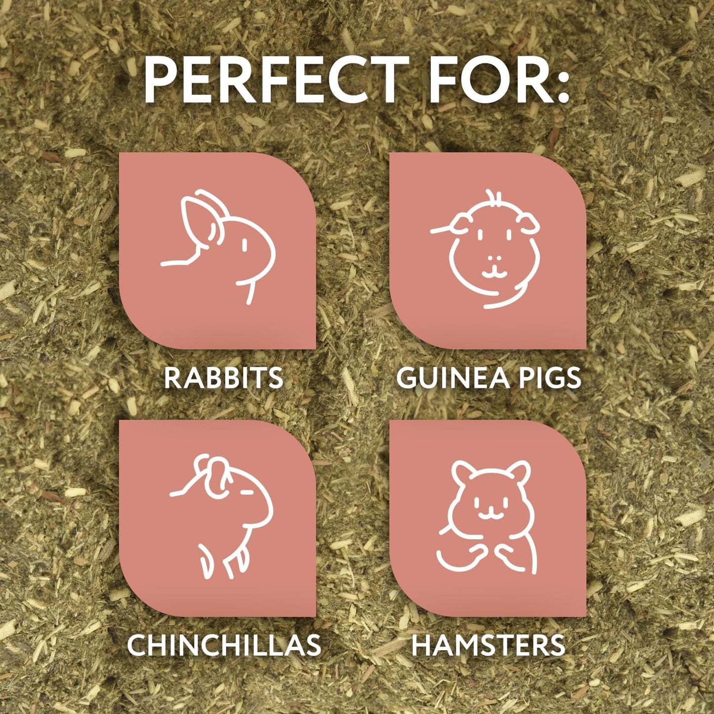 Evergreen Pet Supplies Guinea Pig Bowl - 4-Pack, Green & Brown - Edible Food & Chew Bowls for Rabbits & Guinea Pigs - Toys for Ferrets & Hamsters