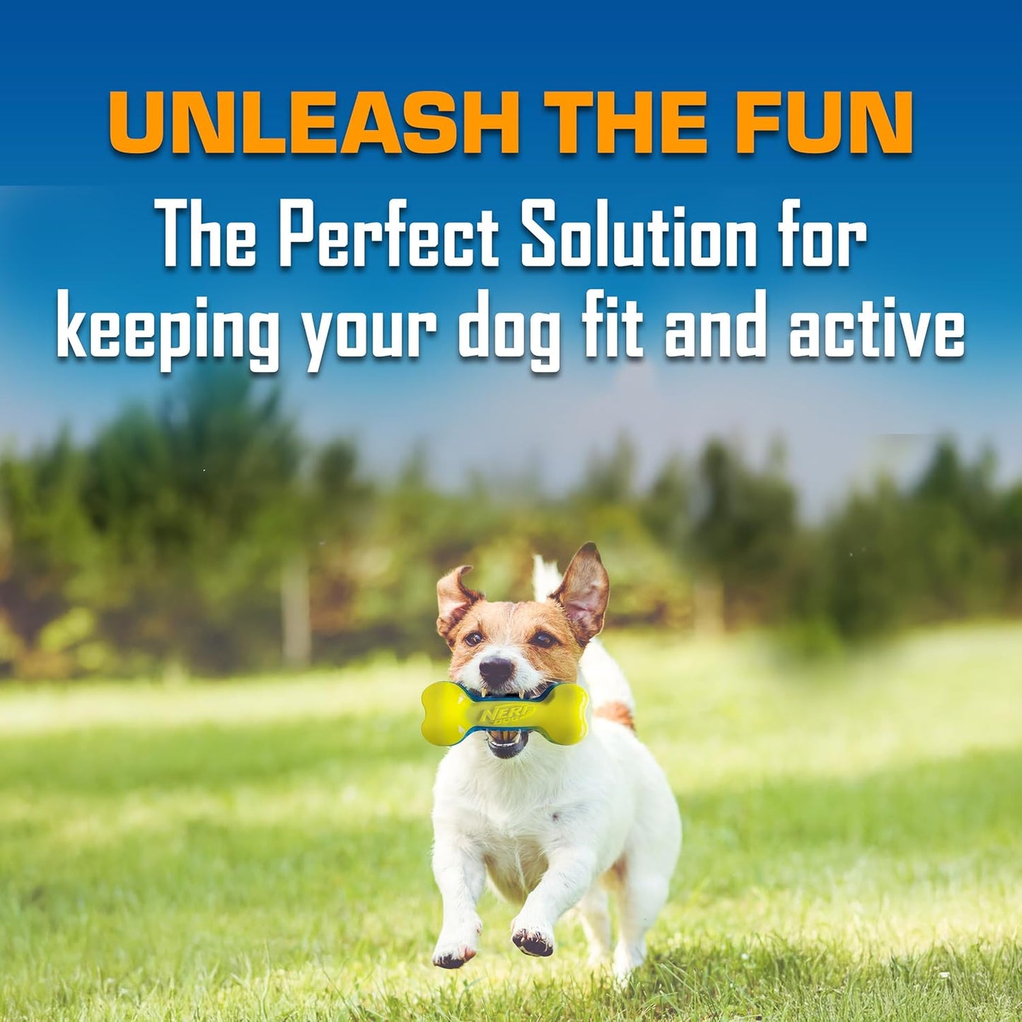 Nerf Dog Toy Gift Set, 3-Piece Set of Outdoor Dog Toys for Tug and Fetch, Includes 3-Ring Tug, Exo Squeak Bone and Tire Flyer