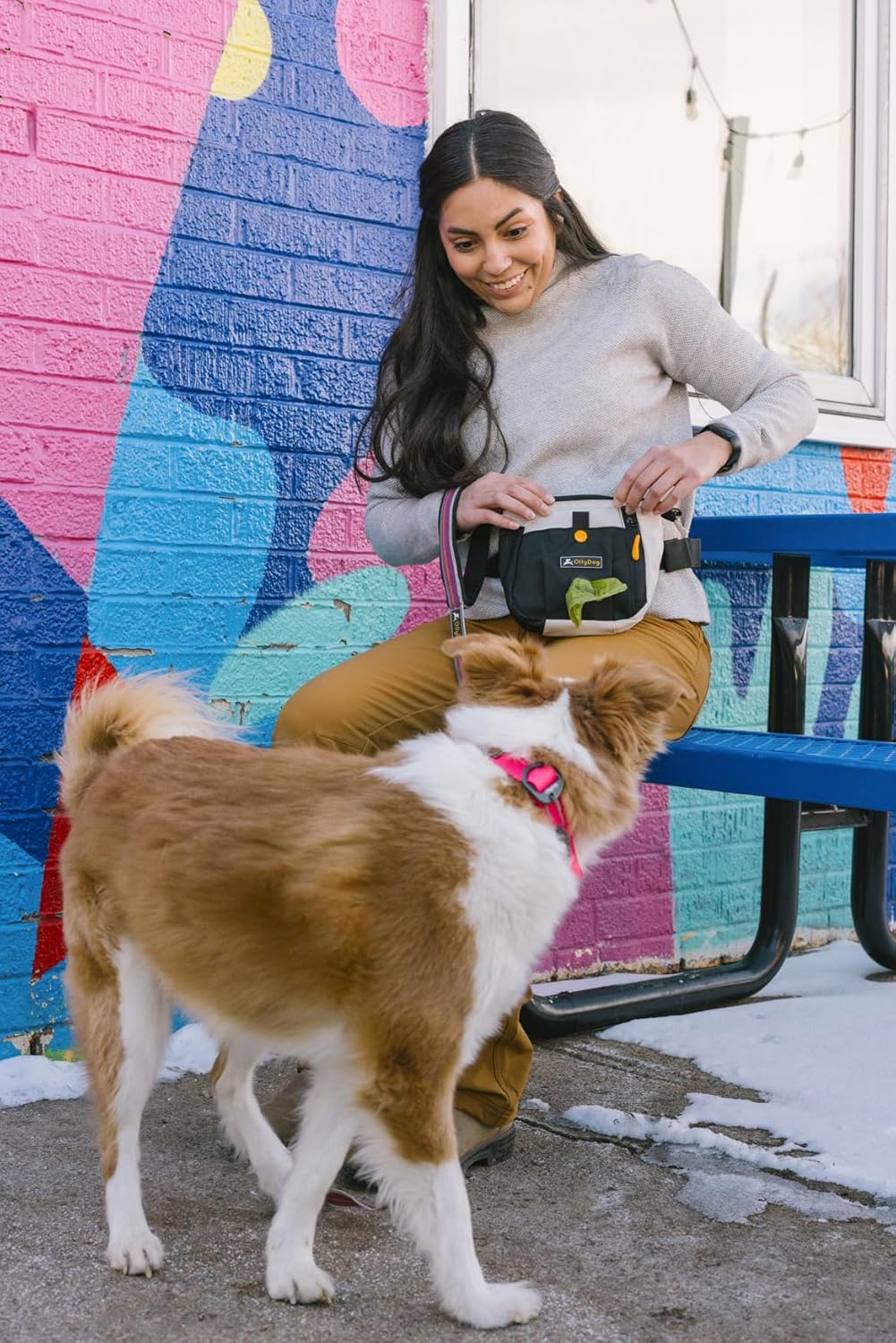 OllyDog Backcountry Day Bag | Hands-Free Dog Training Treat Pouch | Fanny/Hip Pack with Zipper Closure & Built-in Poop Bag Dispenser | Removable Waist Clip (Bluff)