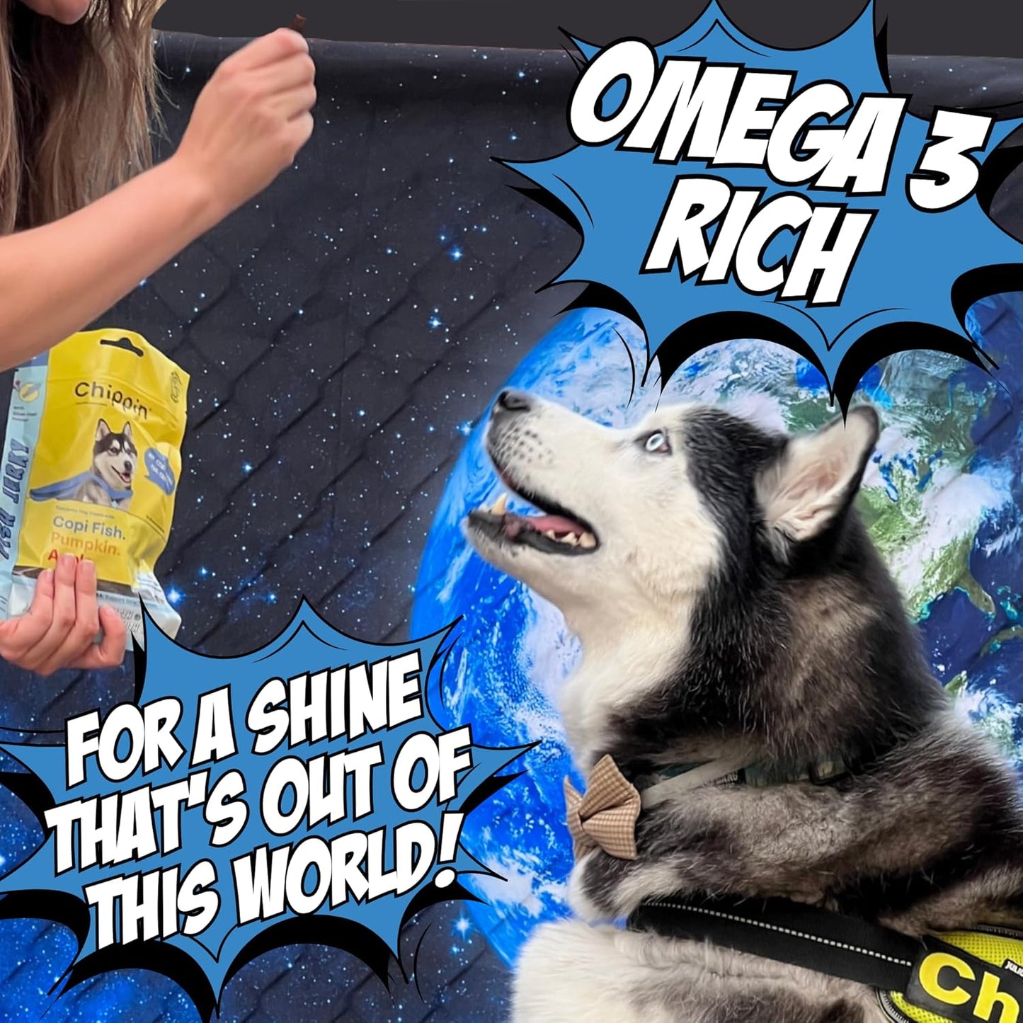 Chippin Fish, Pumpkin, Apple Grain-Free Dog & Cat Treats (5oz, 1-Pack) | USA Wild-Caught Fish | Hypoallergenic, Chicken-Free | Best Training Treats | Puppies & Senior Dogs | Low Fat Dog Treats