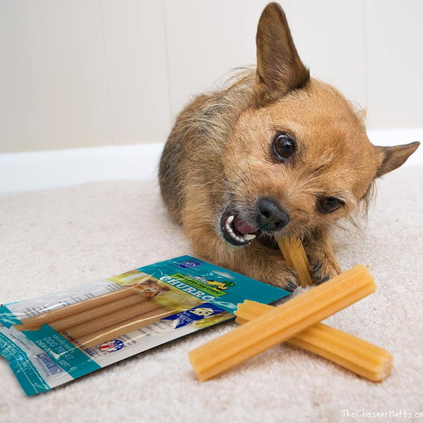 Himalayan Pet Supply Churro Cheese Treats | Lactose Free - Gluten Free - Grain Free | USA Made | All Breeds | 13 Churros | Real Himalayan Cheese