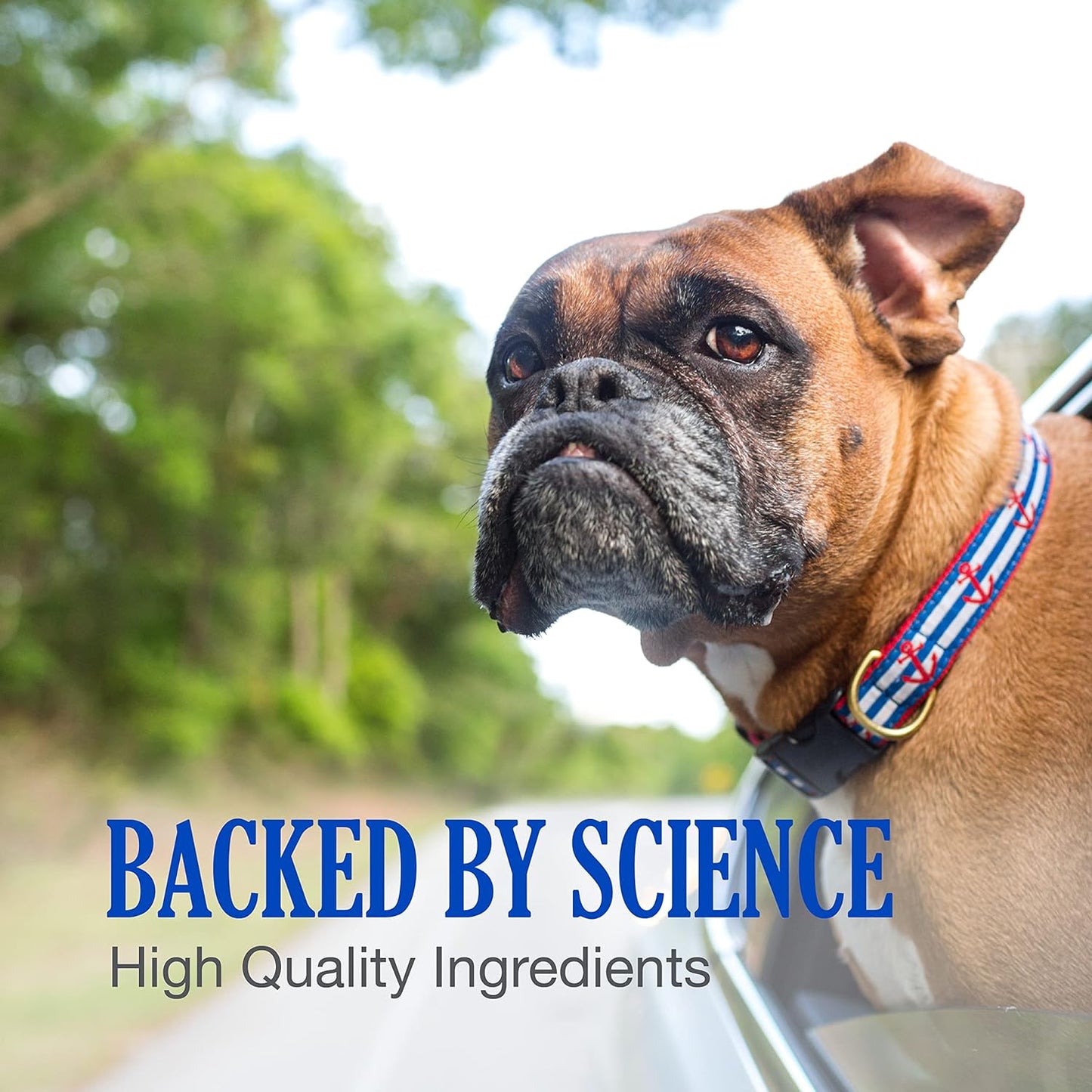 Nutramax Laboratories Cobalequin B12 Supplement for Medium to Large Dogs, 45 Chewable Tablets, Hydrolyzed Chicken, 2.08 ounces