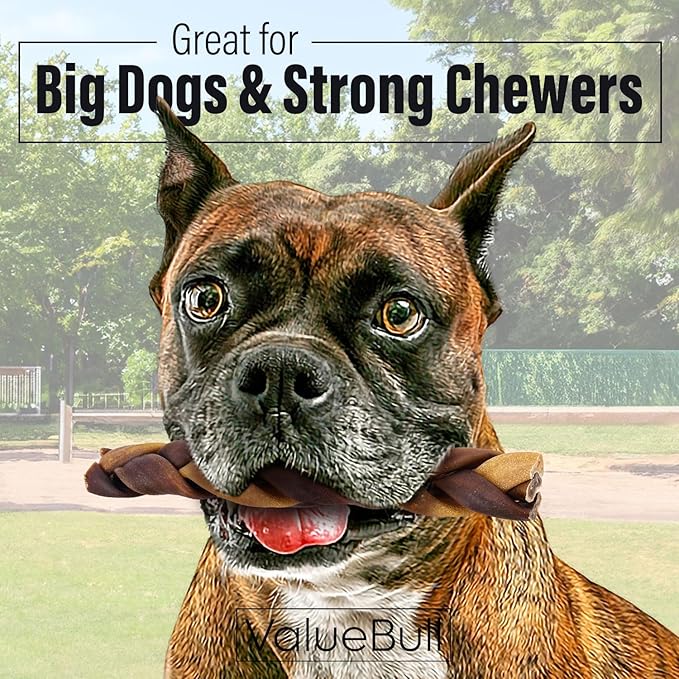 ValueBull Collagen Braided Sticks for Dogs, 6 Inch Thick Chews, Natural Long-Lasting Dog Treats, 100 Count Bulk Pack - Supports Joints, Skin & Coat with Chondroitin & Glucosamine